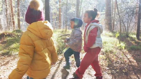 Children explore a forest path during autumn while enjoying nature and bonding Stock Footage 311813345