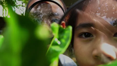 Children explore nature with magnifier Stock Footage 252520738