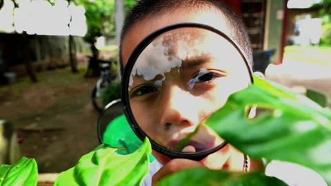 Children explore nature with magnifier Video stock 252520889