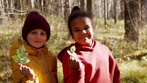 Children exploring nature and showcasing leaves in a forest during autumn Stock Footage 311813169