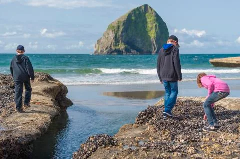 Children exploring tide-pools at Pacific City Oregon Stock-Fotos