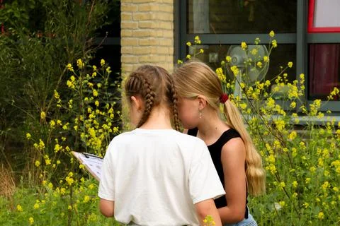 Children exploring vegetable garden Stock Photos