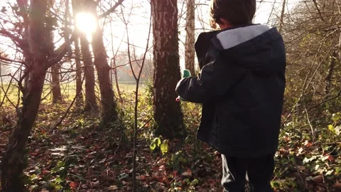 Children exploring woods Stock Footage
