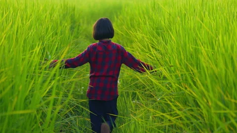 Children farmer slow motion running and walking in rice field of behind view 動画素材 219080056