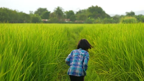 Children farmer slow motion running and walking in rice field of behind view 動画素材 219081394