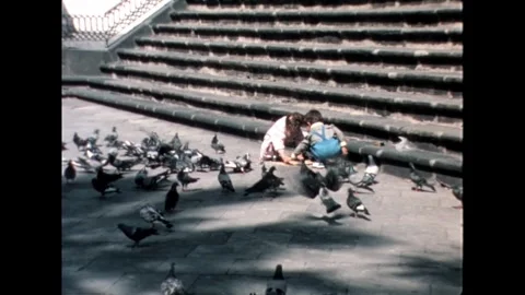 Children Feeding Pigeons on Steps Stock Footage 278331848