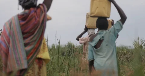 Children fetching dirty drinking water for both domestic and animal use.  Stock Footage 109139331
