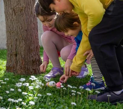 Children finding easter eggs during spring hunt outdoors Stock-Fotos