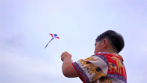 Children fly a kite Stock Footage 74822363