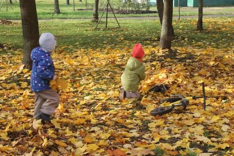 Children in Foliage Stock Photos