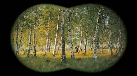 Children in forest - binoculars view 2 Stock Footage 60474549