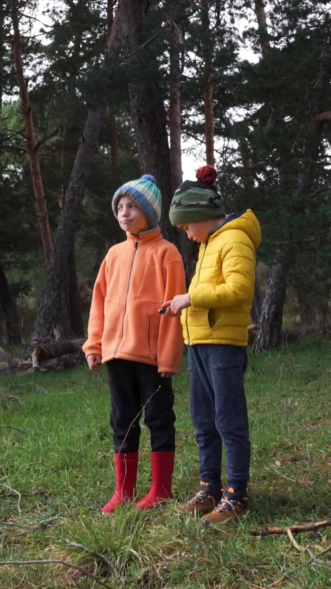 Children in the forest contemplating nature Stock Footage 261580367