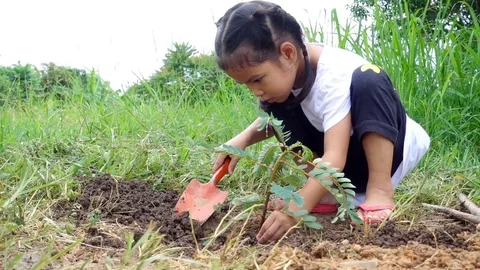 Children girl planting a tree at the ground. Eco environmental conservation Stock Footage