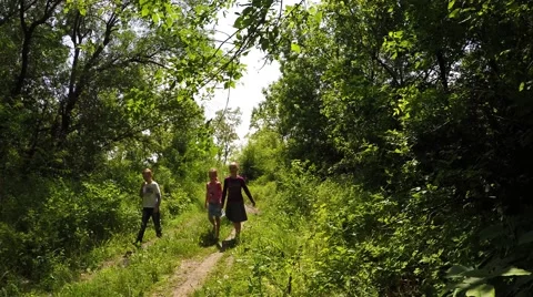 Children go on the road through the forest and talking. Stock-Footage 51585442