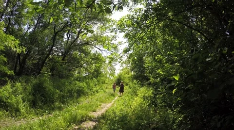 Children go on the road through the forest and talking. 库存影片 51585463