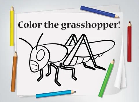 Children grasshopper coloring worksheet Stock Illustration
