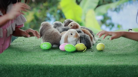 Children hand collecting easter eggs with bunny playing on grass. Stock Footage 289915548