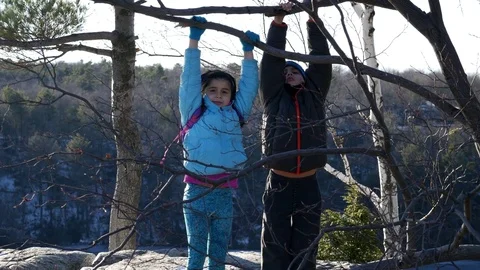 Children hanging on tree branch 4k Stock Footage 71006072