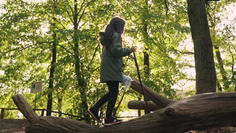 Children having fun Stock Footage 252992463