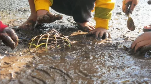 Children having fun playing in the mud Stock Footage 310116407