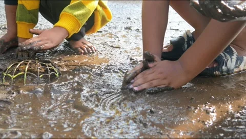 Children having fun playing in the mud Stock Footage 310116426