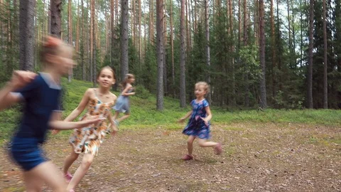 Children having fun in a summer forest Stock Footage 116909071