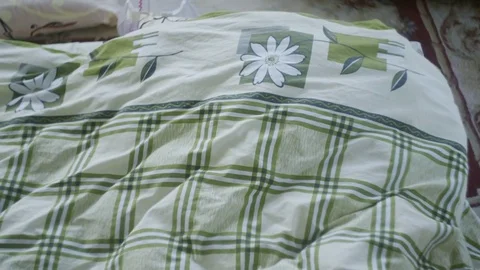 Children hide under a green blanket. 動画素材 79731878
