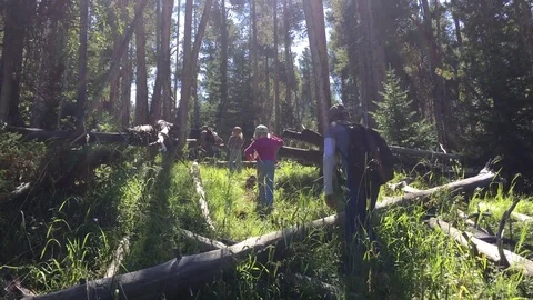 Children hike through a mountain trail HD Video stock 80237429
