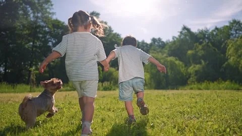 Children holding hands running on grass. Boy girl enjoying summer park Stock Footage 346170044