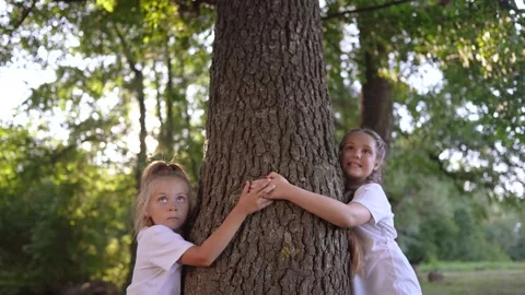 Children hugging a tree in the forest. happy family childhood dream concept Video stock 266512428