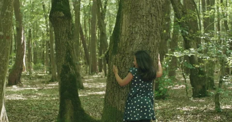 Children Hugs a Tree Stock Footage 195088077