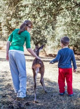 Children Interacting With Deer in a Forest Setting Stock Photos