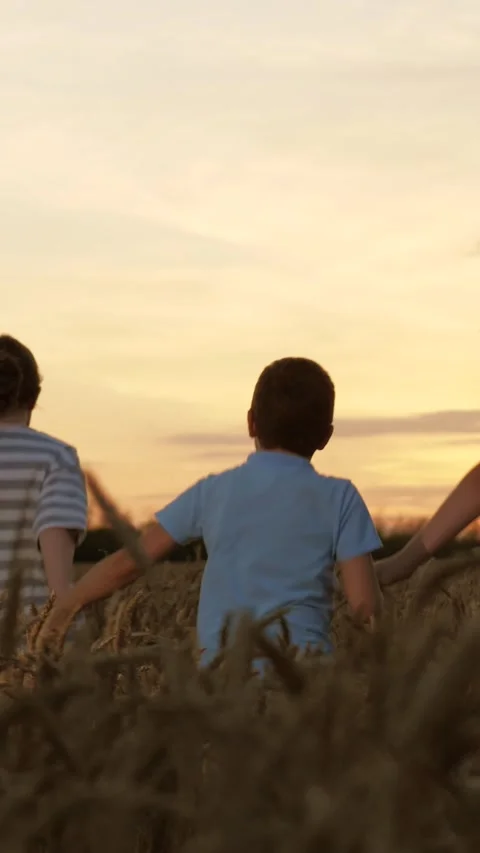 Children joyfully playing in a wheat field at sunset, creating memories of Stock Footage 320026610