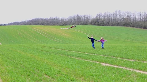 Children launch a kite in a field in spring Stock-Footage 129835027
