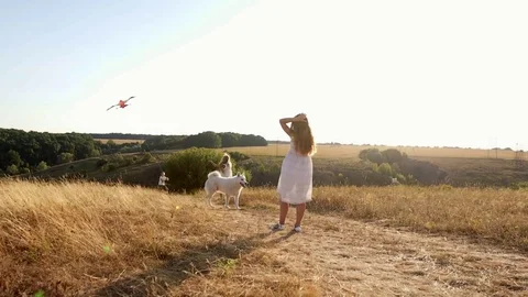 Children launch a kite at sunset Stock Footage 80349352