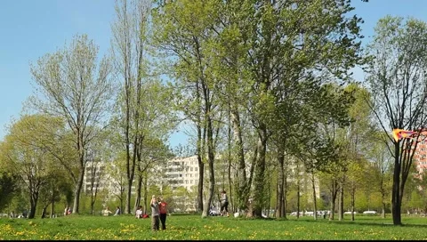 Children launching a kite in the park Vídeo Stock 5382901