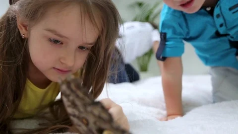Children look at a butterfly Stock Footage 82932482
