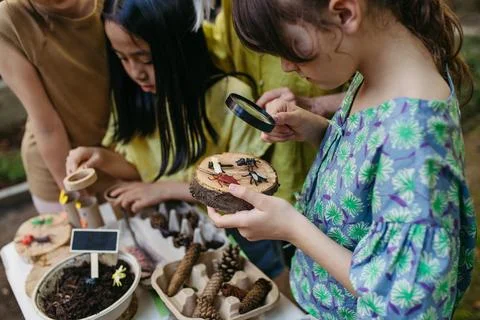 Children looking at models of insect, learning about wildlife during outdoor Foto stock
