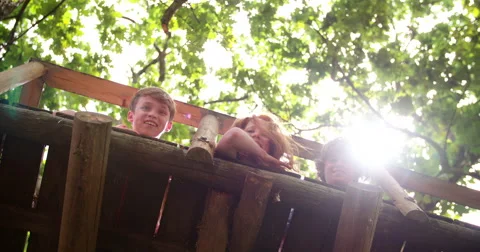 Children looking over side of treehouse with lush green leaves Stock Footage 61289288