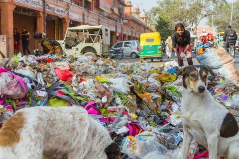 Children Looking thru Garbage Stock Photos