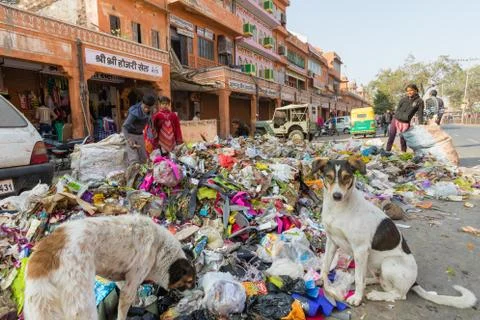 Children Looking thru Garbage Stock Photos