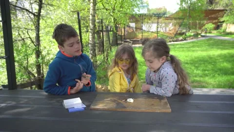Children make an experiment with burning dry alcohol. Stock Footage 155019076