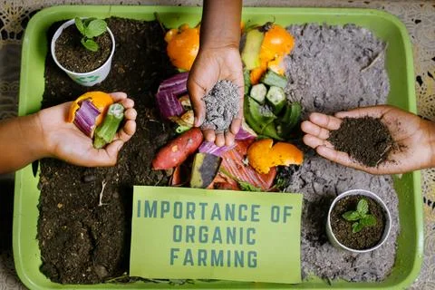 Children making composting Stock Photos