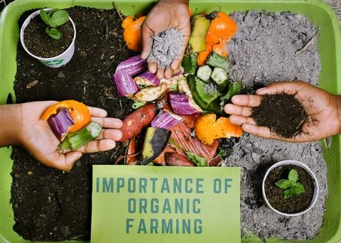 Children making composting Stock Photos