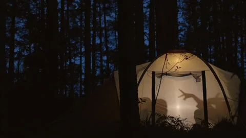 Children making shadow puppets in a camping tent at night 스톡 동영상 282595705
