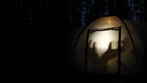 Children making shadow puppets inside illuminated tent at night in slomo Stock Footage 317677099
