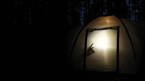 Children making shadow puppets inside illuminated tent at night in slomo Stock Footage 317677101