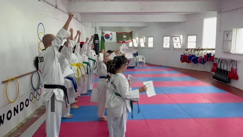 Children Martial Arts Training Class in Madeira Stock Footage 330468745
