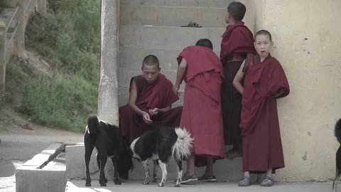 Children &amp; Monks at Dechen Phodrang Monastery Video stock 161961358