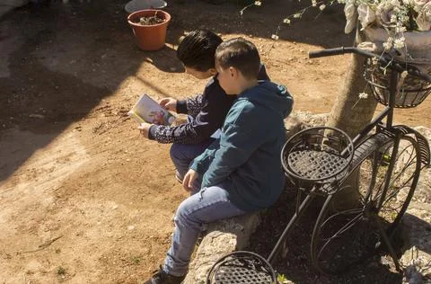 Children next to a tree trunk. Stock Photos